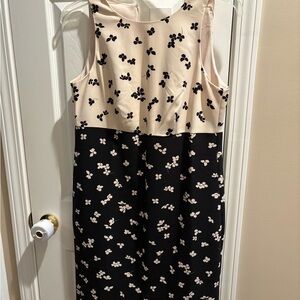 Ann Taylor Black and Cream Floral Dress